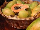 Sementes de Mamão Papaya 50 Sementes